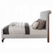 ACME Andria Queen Bed - Bed & Sofa Hub