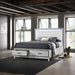 ACME Haiden Queen Bed W/Led & Storage - Bed & Sofa Hub