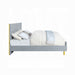 ACME Gaines CK Bed - Bed & Sofa Hub