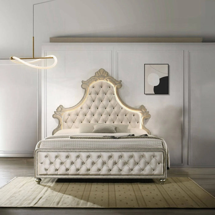 ACME Lucienne Queen Bed W/LED - Bed & Sofa Hub