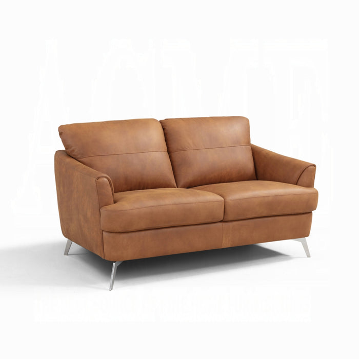 ACME Safi Loveseat - Bed & Sofa Hub