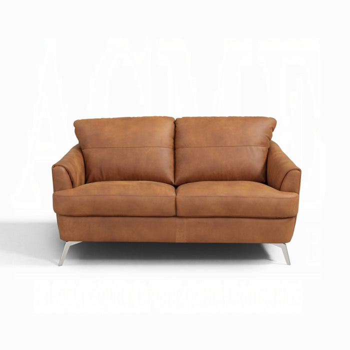 ACME Safi Loveseat - Bed & Sofa Hub