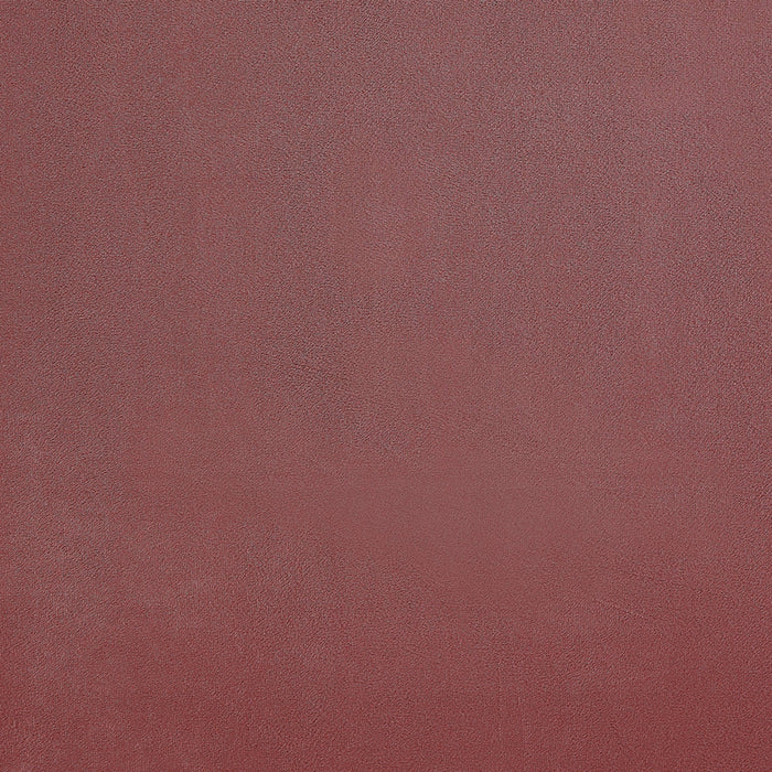 ACME Heibero II Loveseat W/2 Pillows - Bed & Sofa Hub