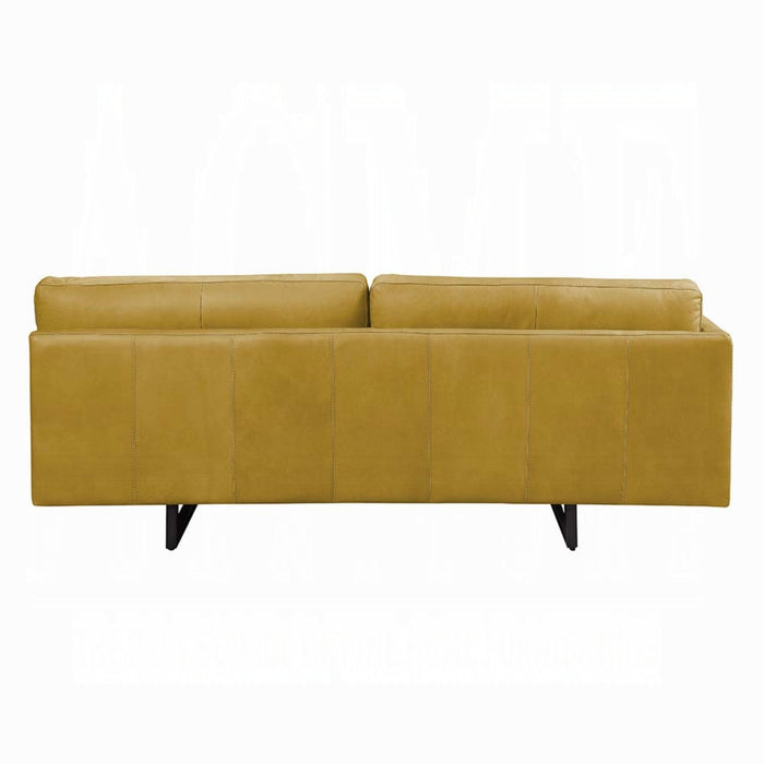 ACME Radia Sofa W/Pillow - Bed & Sofa Hub