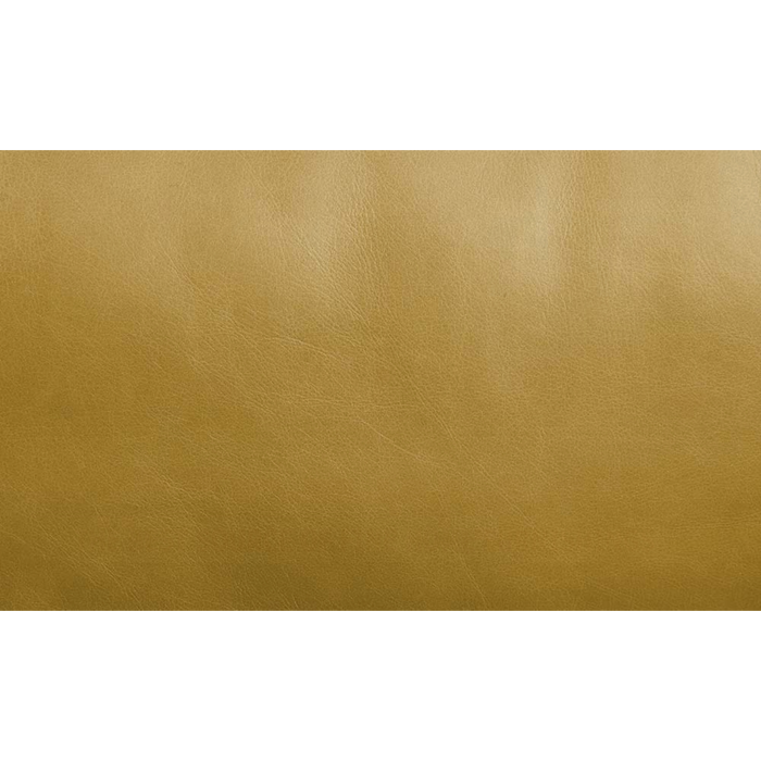 ACME Radia Sofa W/Pillow - Bed & Sofa Hub