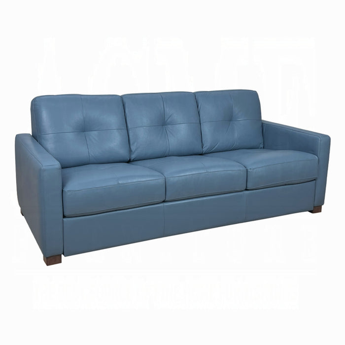 ACME Noci Sofa W/Sleeper - Bed & Sofa Hub