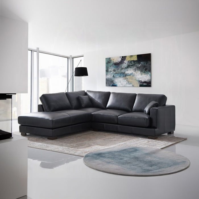 ACME Geralyn Sectional Sofa W/2 Pillows - Bed & Sofa Hub